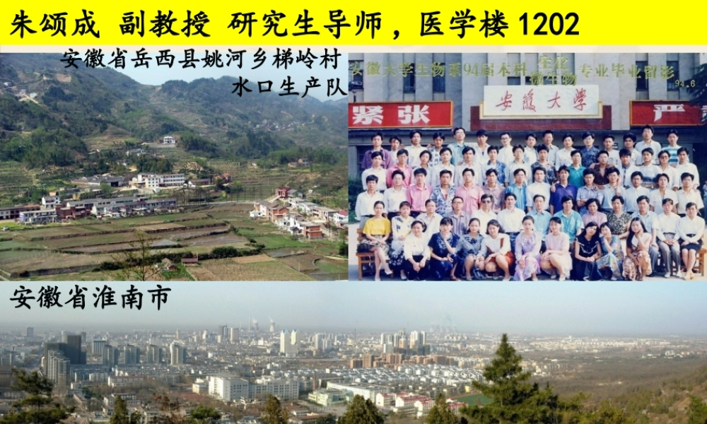 201712192126 1 2蛋白质降解及氨基酸分解代谢 Simplified(1)(1).ppt