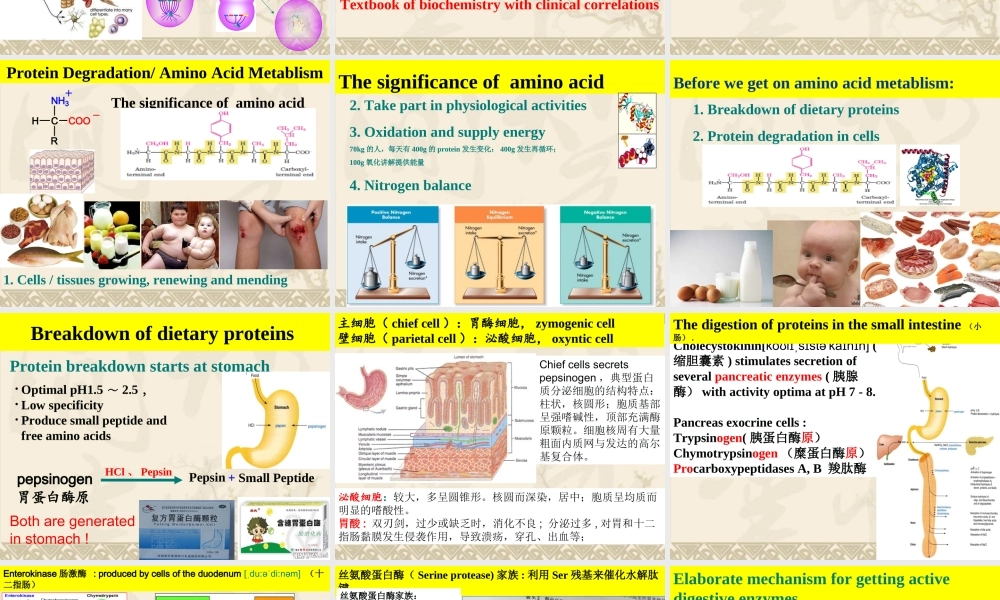 201712192126 1 2蛋白质降解及氨基酸分解代谢 Simplified(1)(1).ppt