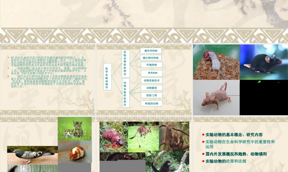 zjy医学实验动物学,实验动物与环境(1).ppt