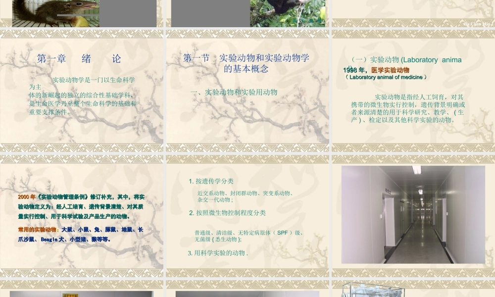 zjy医学实验动物学,实验动物与环境(1).ppt