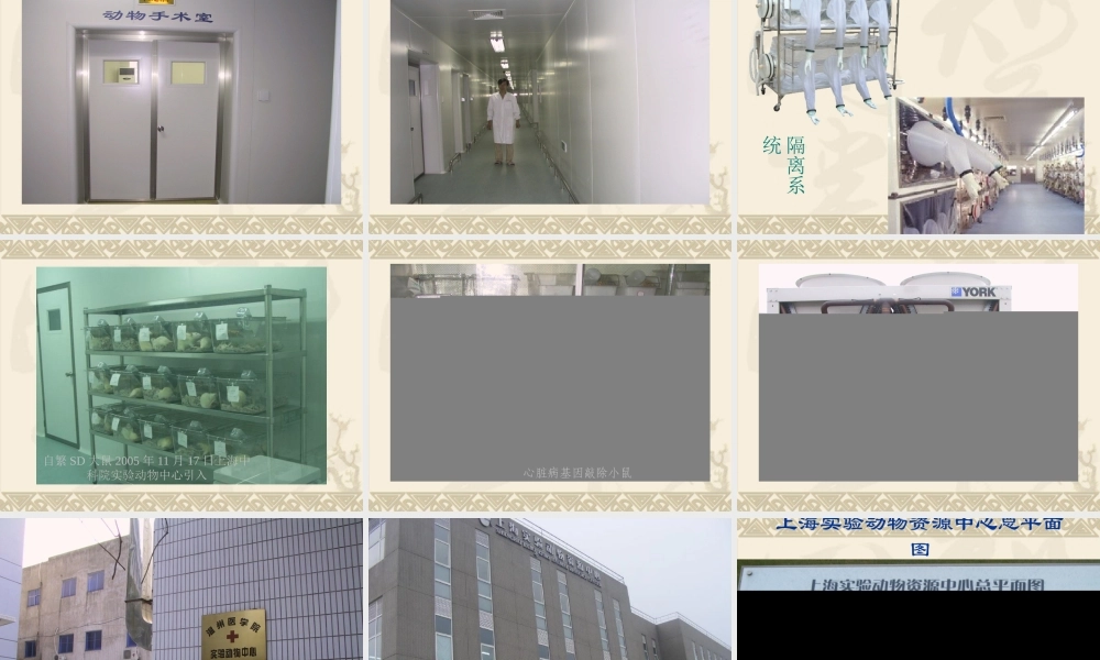 zjy医学实验动物学,实验动物与环境(1).ppt