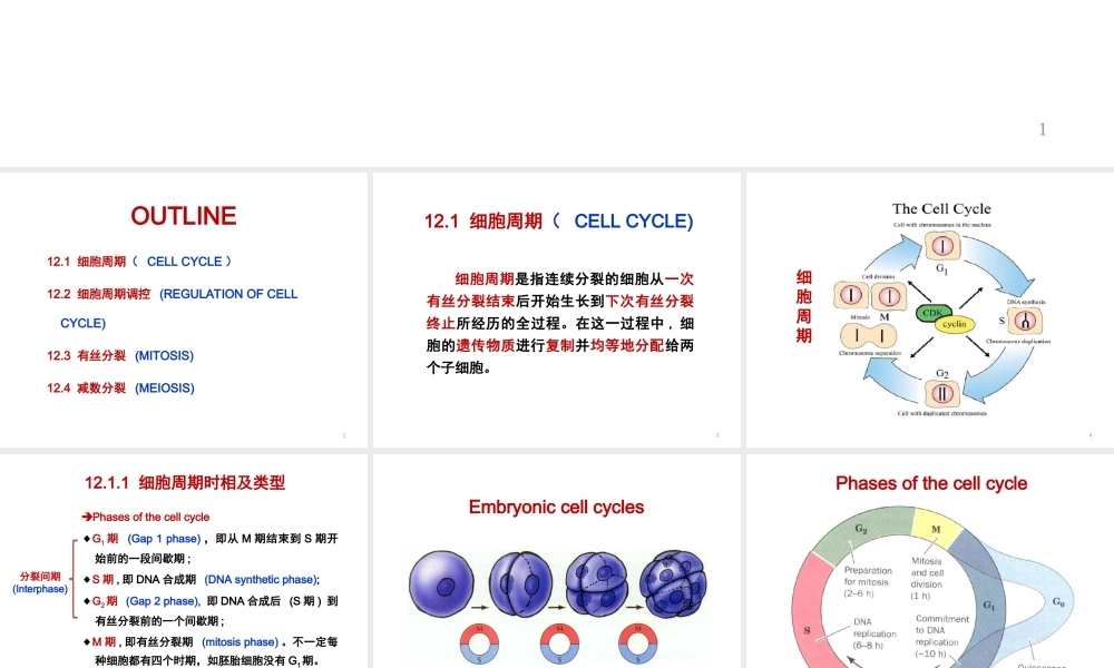 ru-第12章 细胞周期与细胞分裂 20161206(1).ppt