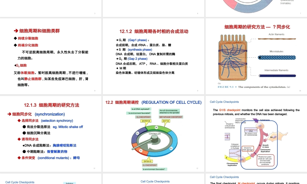 ru-第12章 细胞周期与细胞分裂 20161206(1).ppt