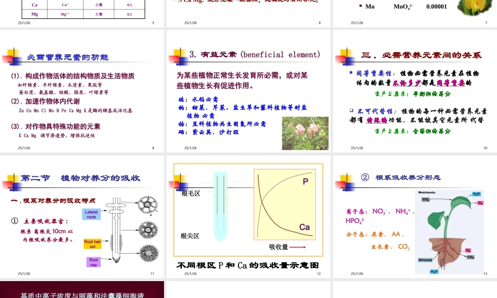 第7章 植物营养与施肥原理.ppt