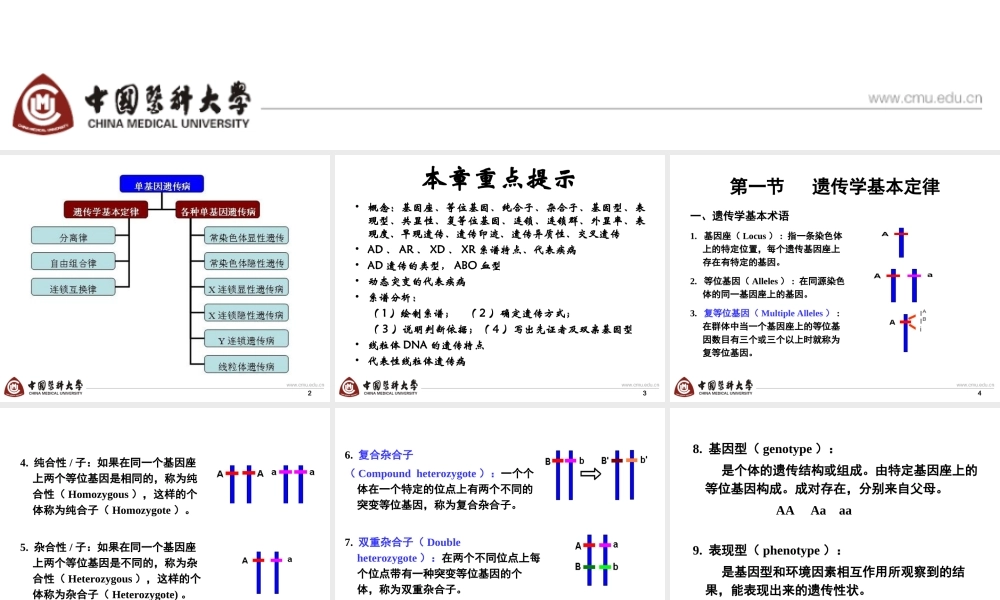 第三章 单基因疾病-6h.ppt