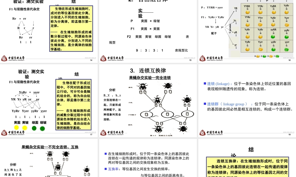 第三章 单基因疾病-6h.ppt