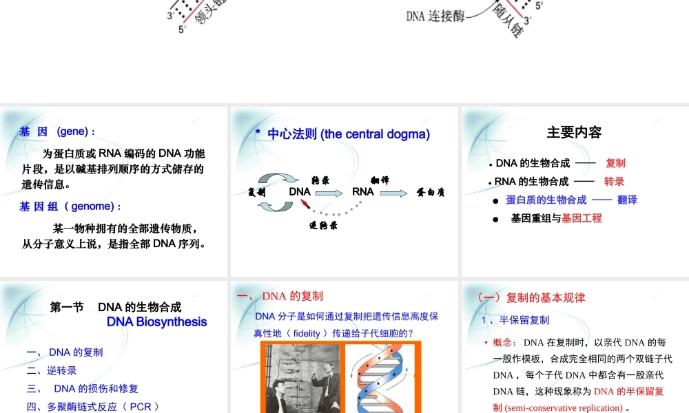第十章核酸的生物合成.ppt
