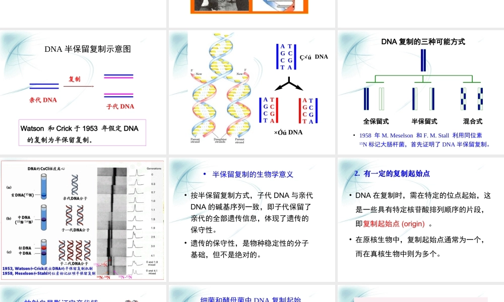 第十章核酸的生物合成.ppt