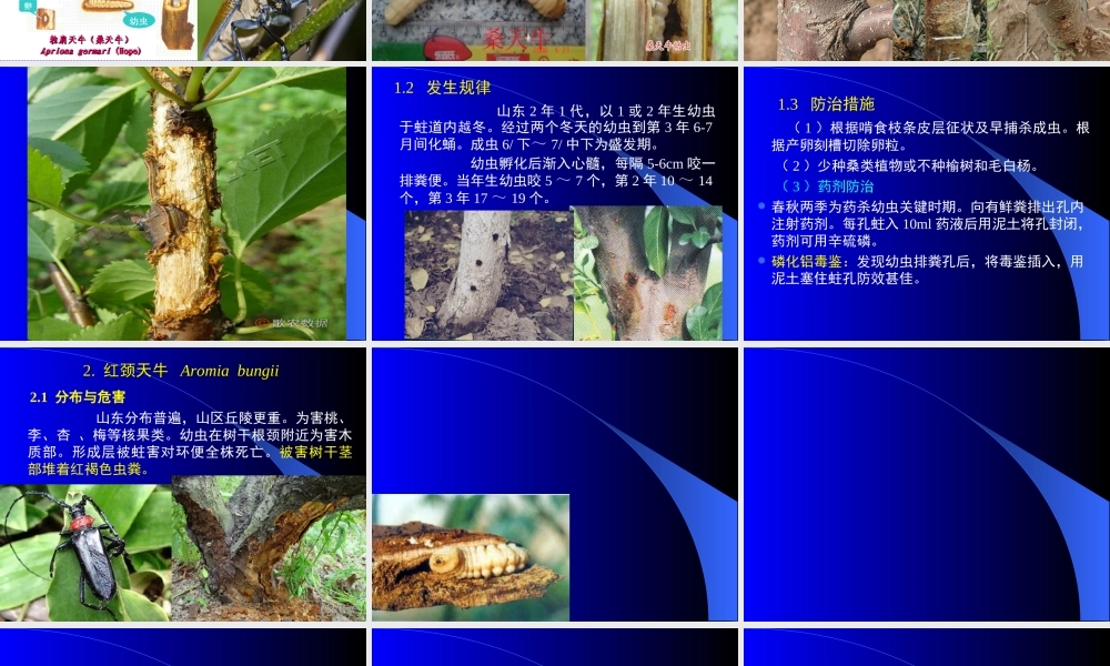 第三章 果树害虫(6-8节).ppt