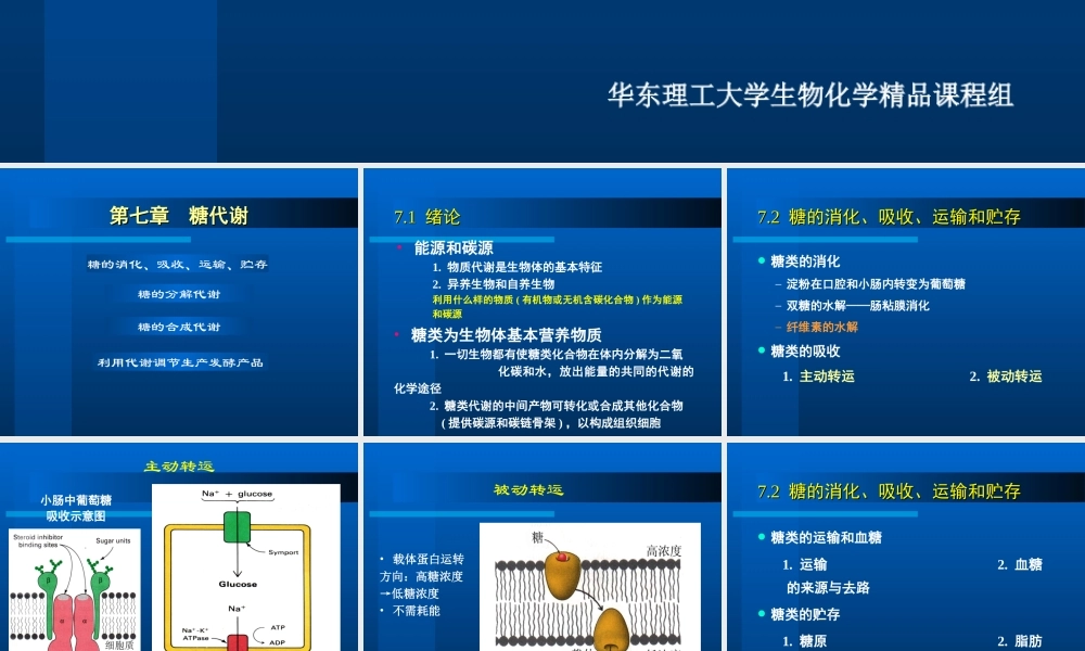 华东理工生物化学chap07.ppt