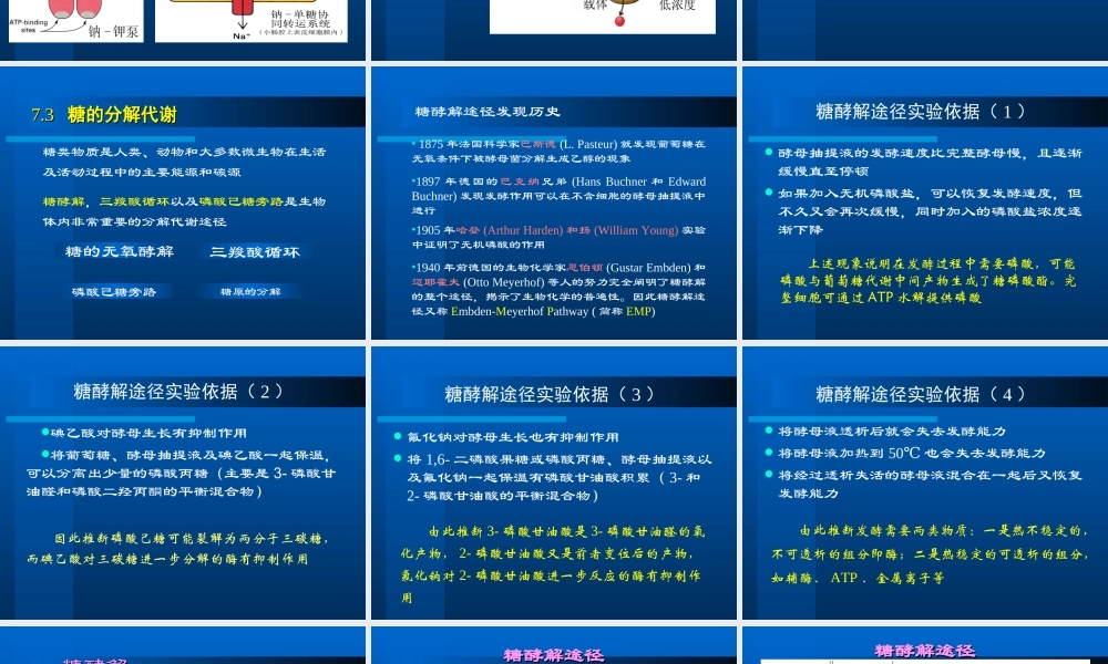 华东理工生物化学chap07.ppt