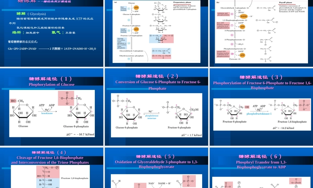 华东理工生物化学chap07.ppt