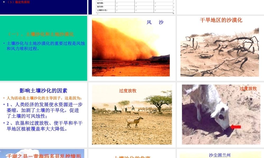 李成亮11第十一章土壤质量与土壤资源保护.ppt