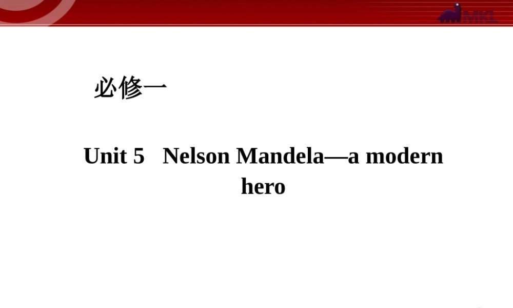 人教版高中英语复习课件：必修一 Unit 5　Nelson Mandela—a modern hero.ppt
