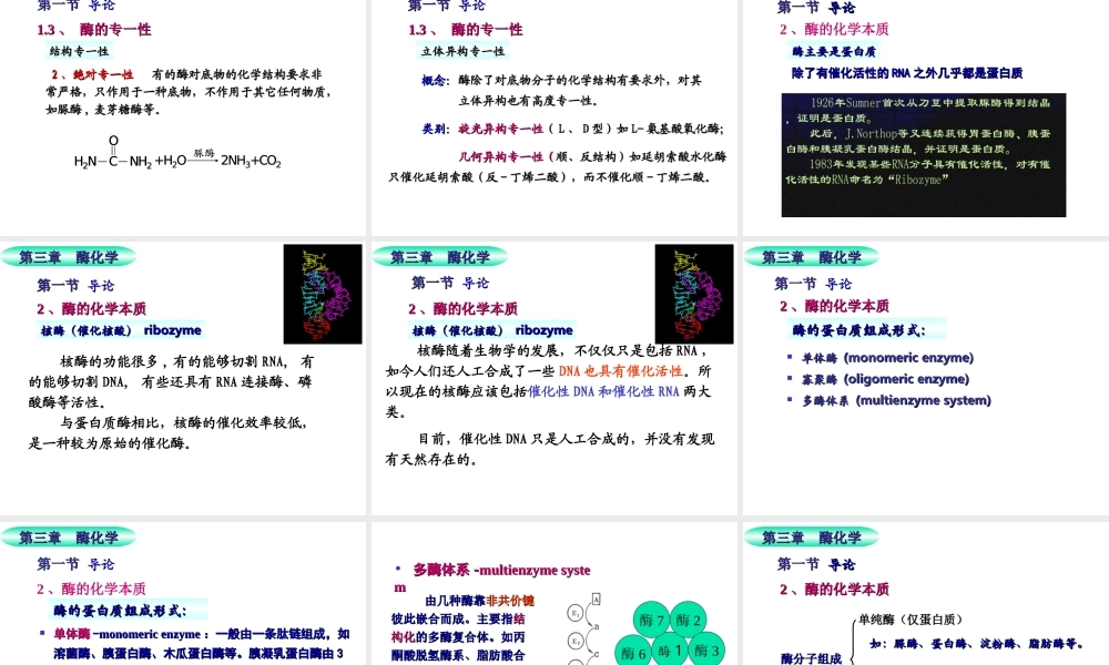 fuoxk3酶.ppt