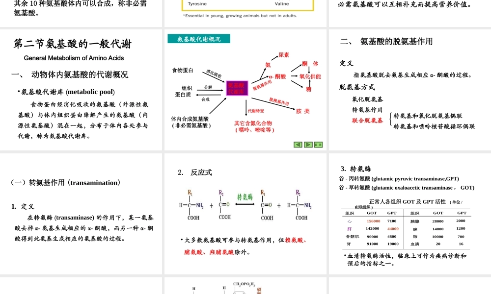 08第八章 氨基酸代谢.ppt