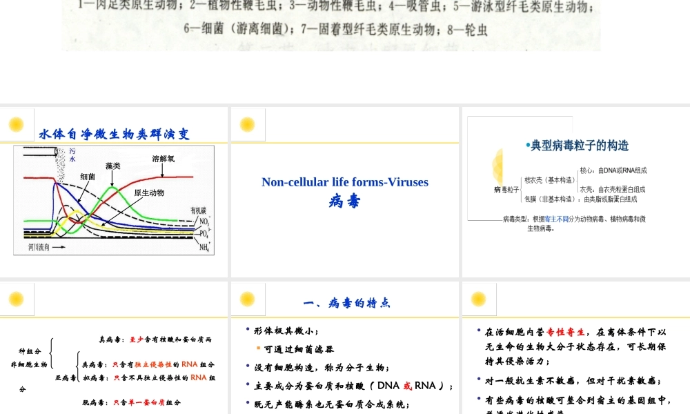 病毒的形态与构造2.PPT