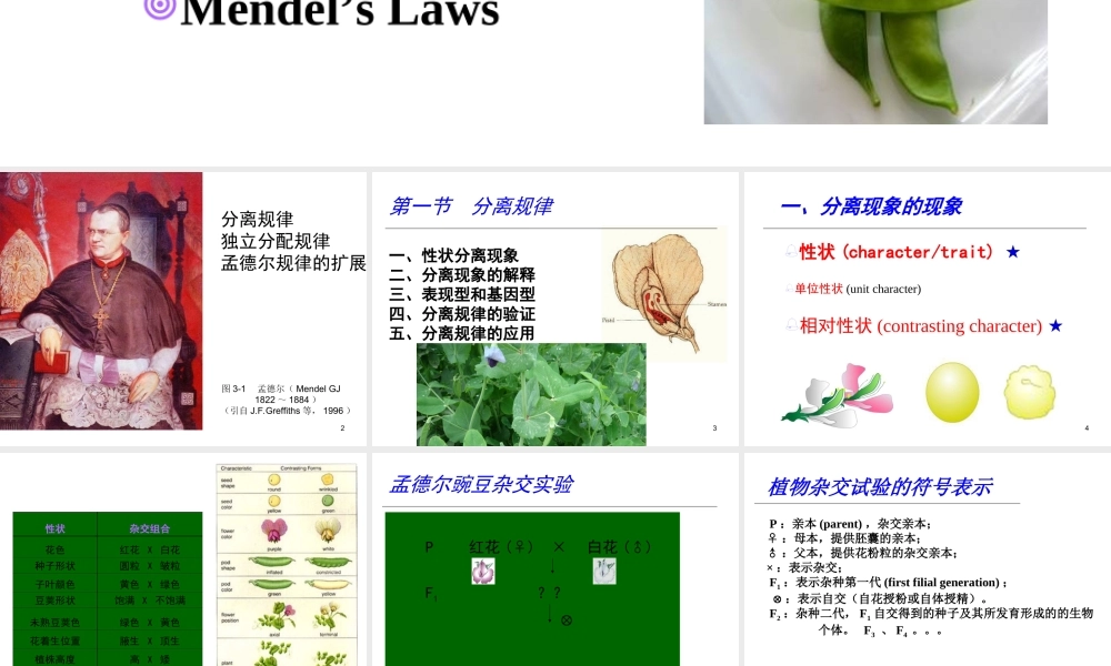 3.2015第三章Genetics.ppt