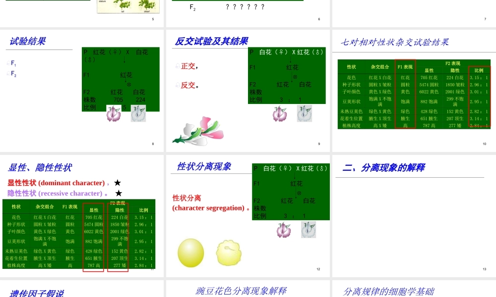 3.2015第三章Genetics.ppt