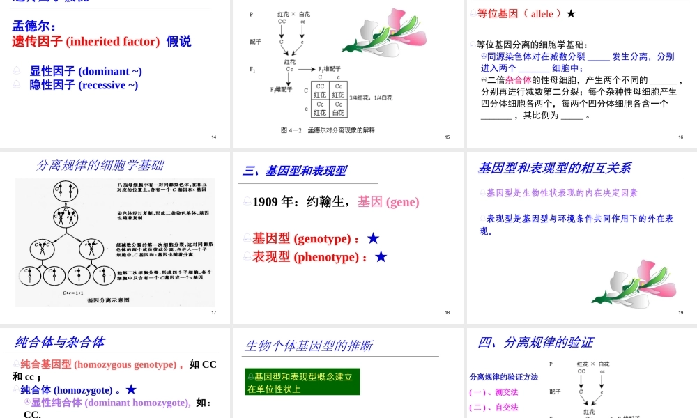 3.2015第三章Genetics.ppt