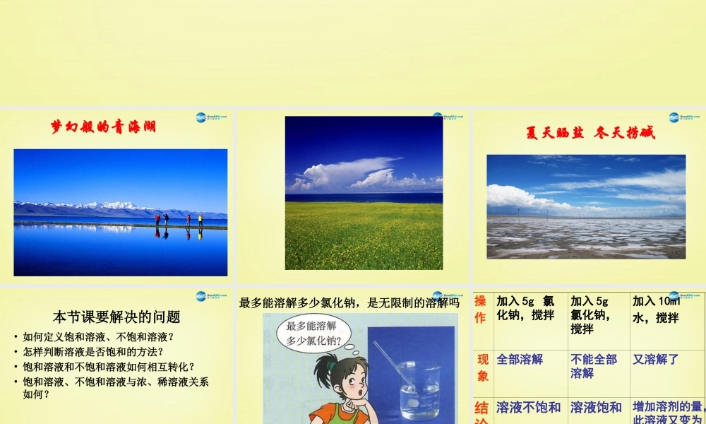 人教初中化学九下《9课题2溶解度》PPT课件 (19)【加微信公众号 jiaoxuewuyou 九折优惠 qq 1119139686】.ppt