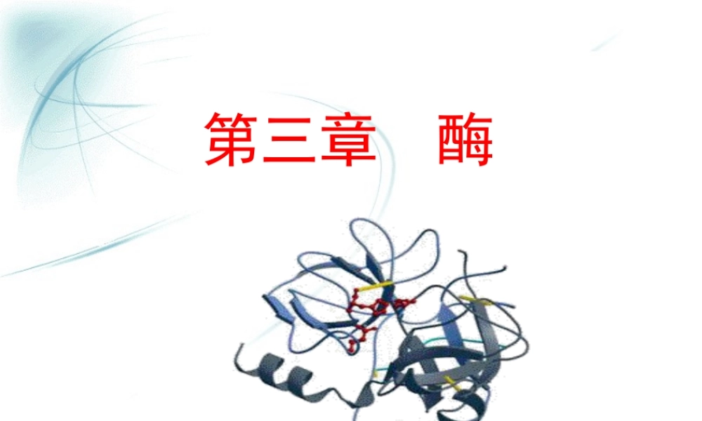第三章 酶1.ppt
