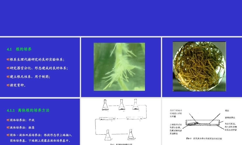 植物组织培养(4)(1).ppt