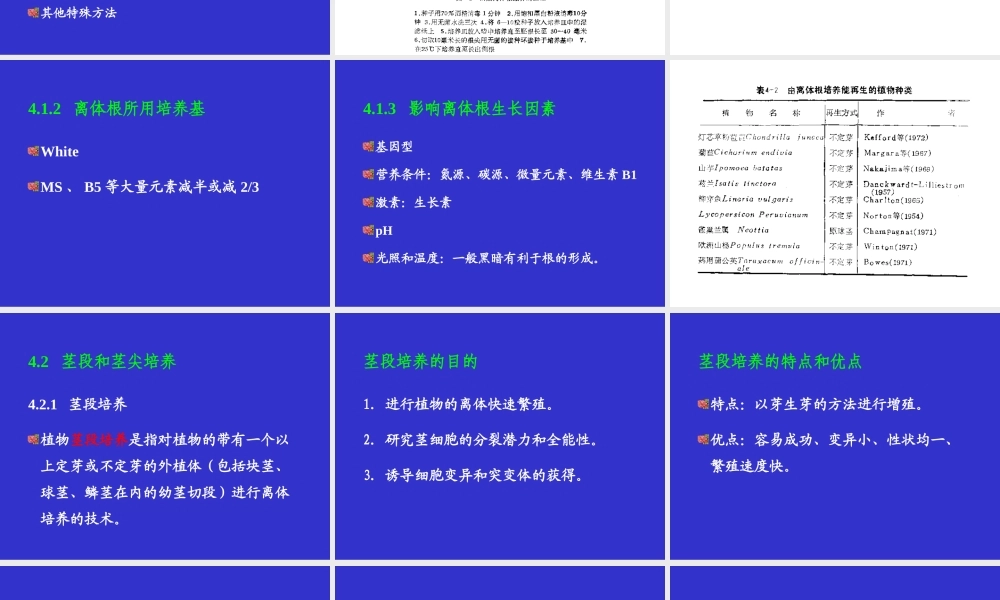 植物组织培养(4)(1).ppt
