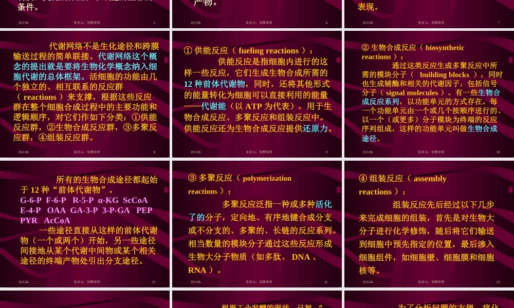 3.第三章 发酵学第二假说（1）.ppt