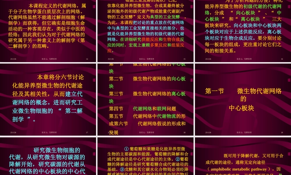 3.第三章 发酵学第二假说（1）.ppt