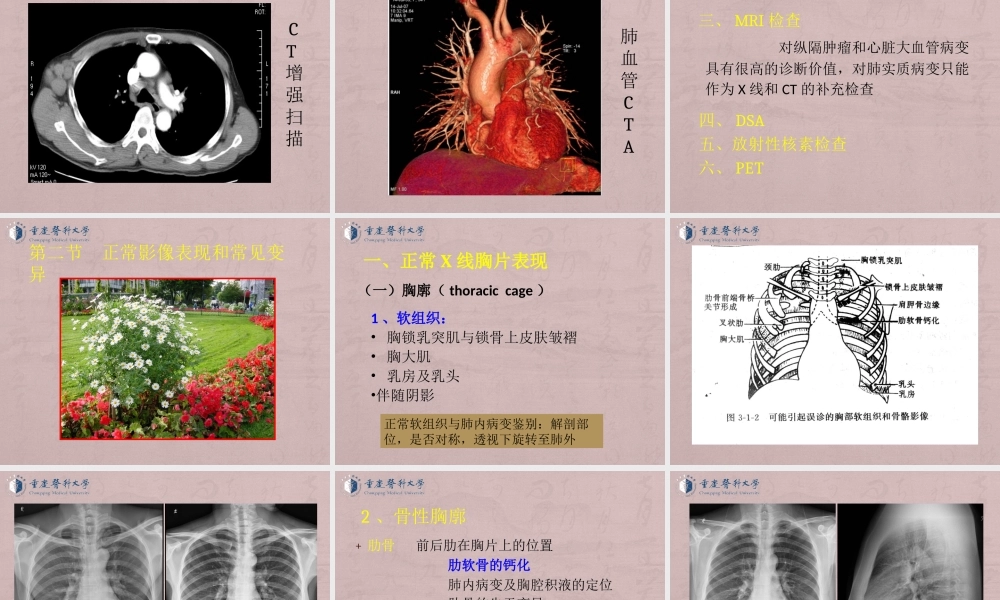 02-（7-1）医学七年制呼吸循环系统教学.ppt