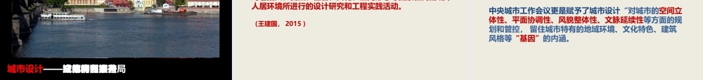 城市设计与文化传承（王建国院士）.pptx