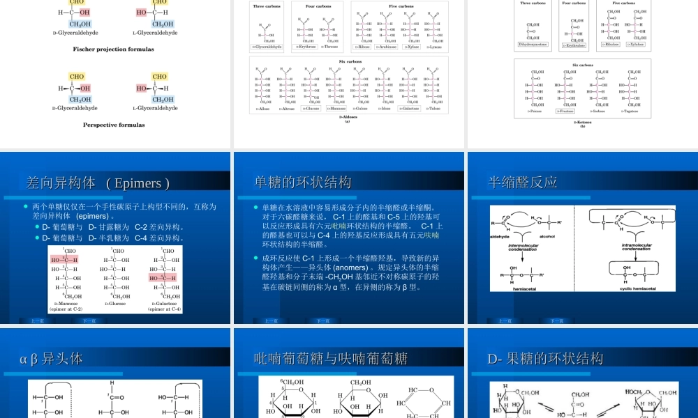 华东理工生物化学chap02.ppt