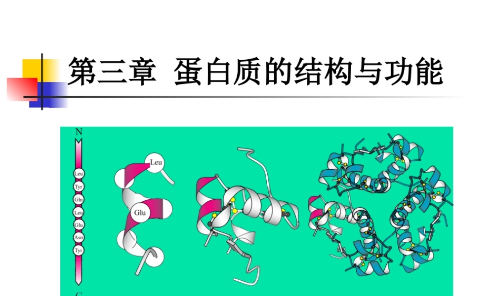 考研科目,动物生物化学 第3章 蛋白质.ppt