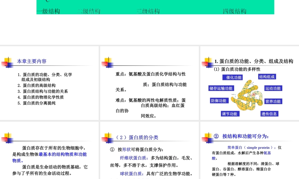 考研科目,动物生物化学 第3章 蛋白质.ppt