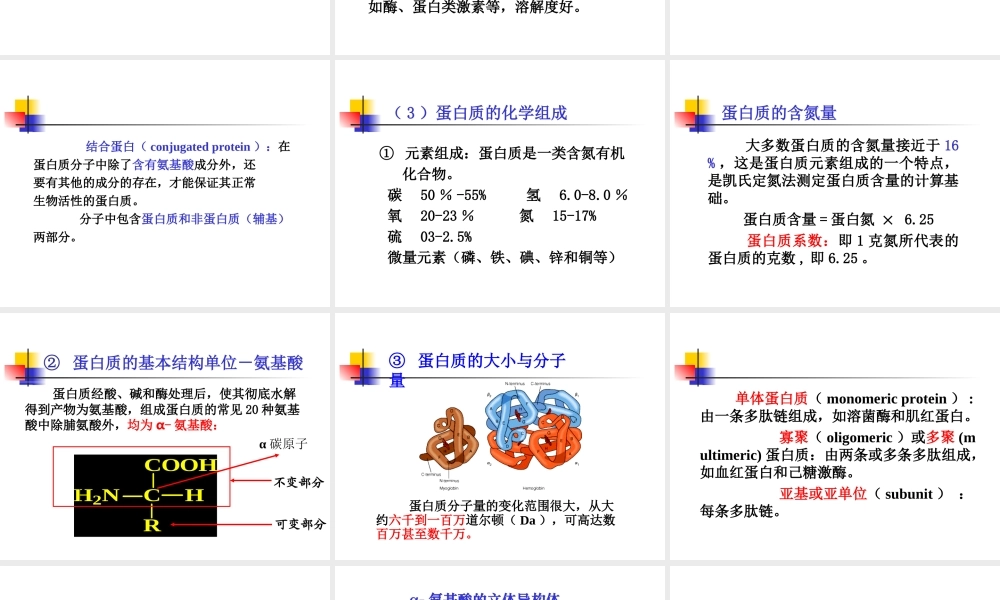 考研科目,动物生物化学 第3章 蛋白质.ppt