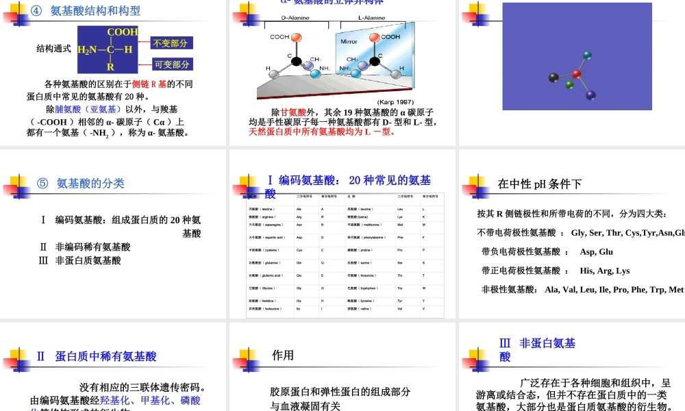 考研科目,动物生物化学 第3章 蛋白质.ppt