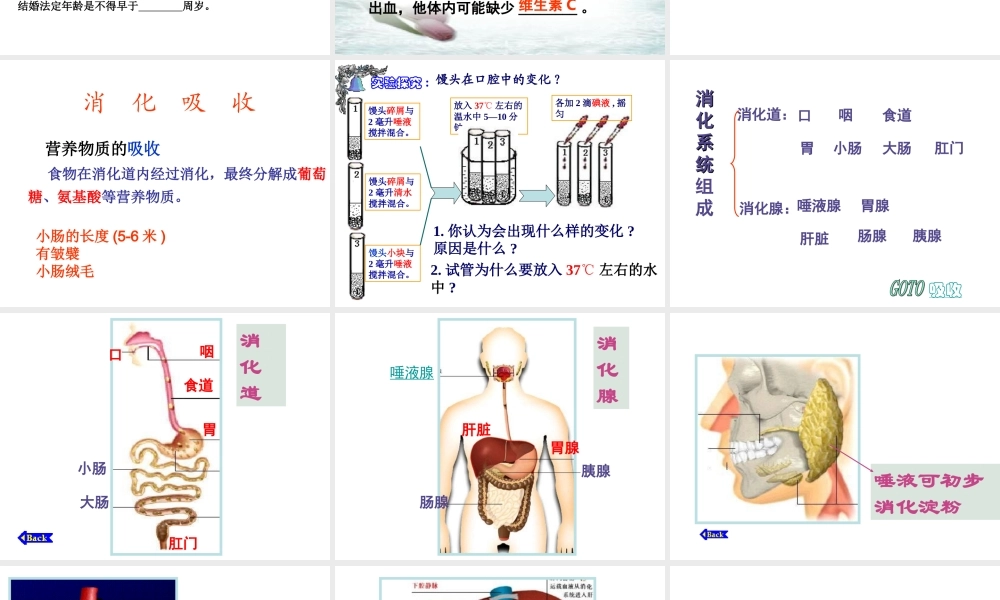 七年级下生物复习课件.ppt