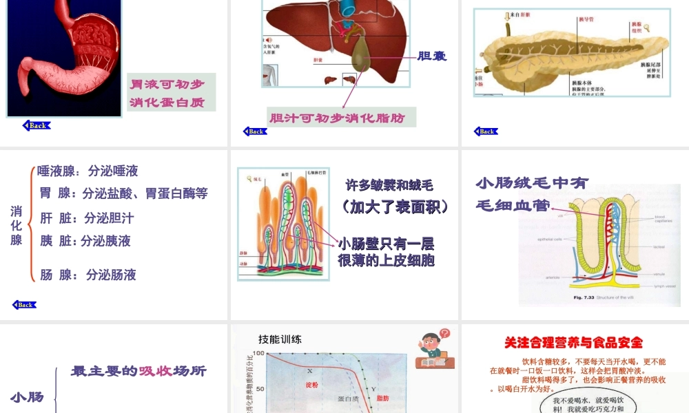 七年级下生物复习课件.ppt