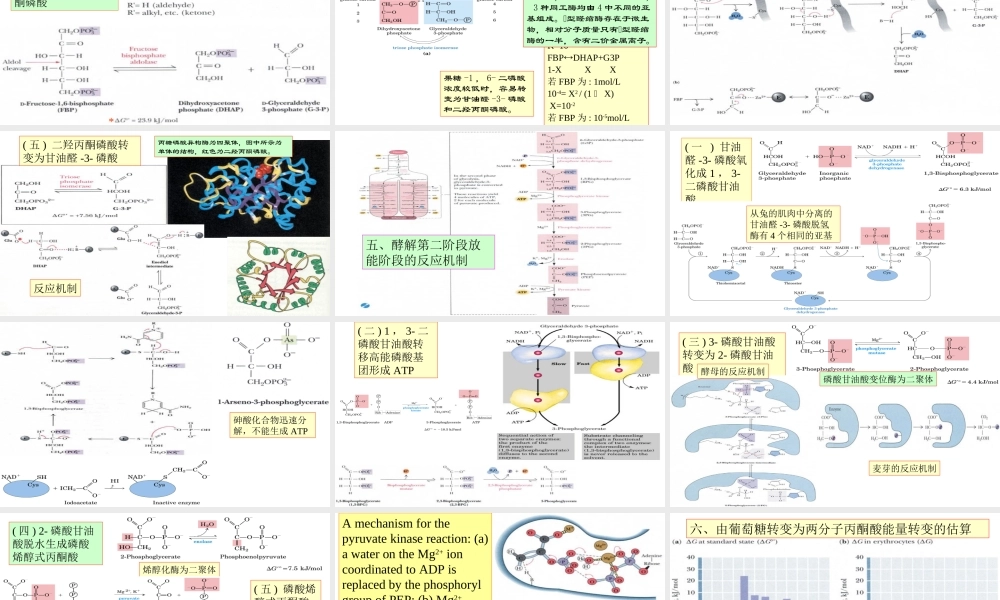 9糖代谢1.ppt