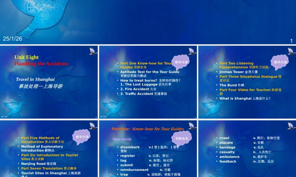 Chapter 8 Handling the Accidents.ppt