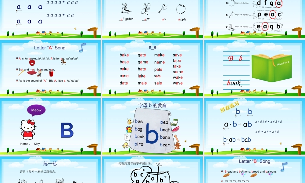 自然拼读全面讲解.ppt