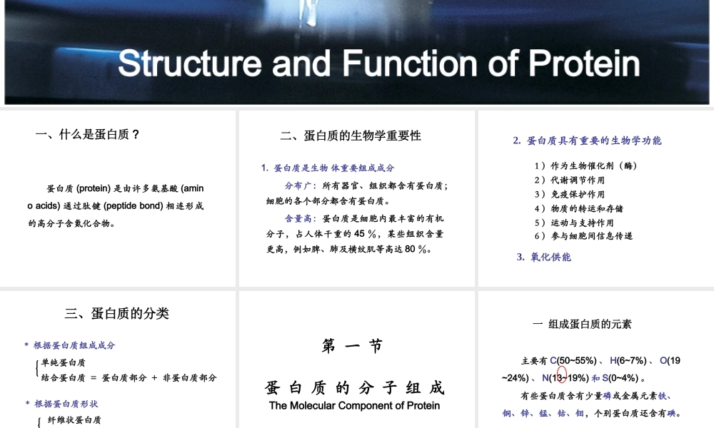 03蛋白质的结构与功能.ppt