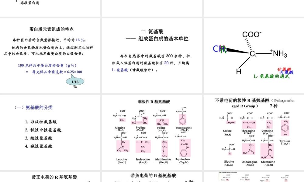 03蛋白质的结构与功能.ppt