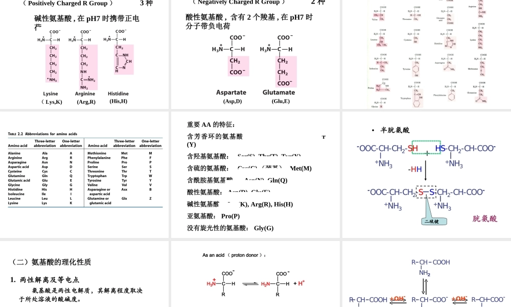 03蛋白质的结构与功能.ppt