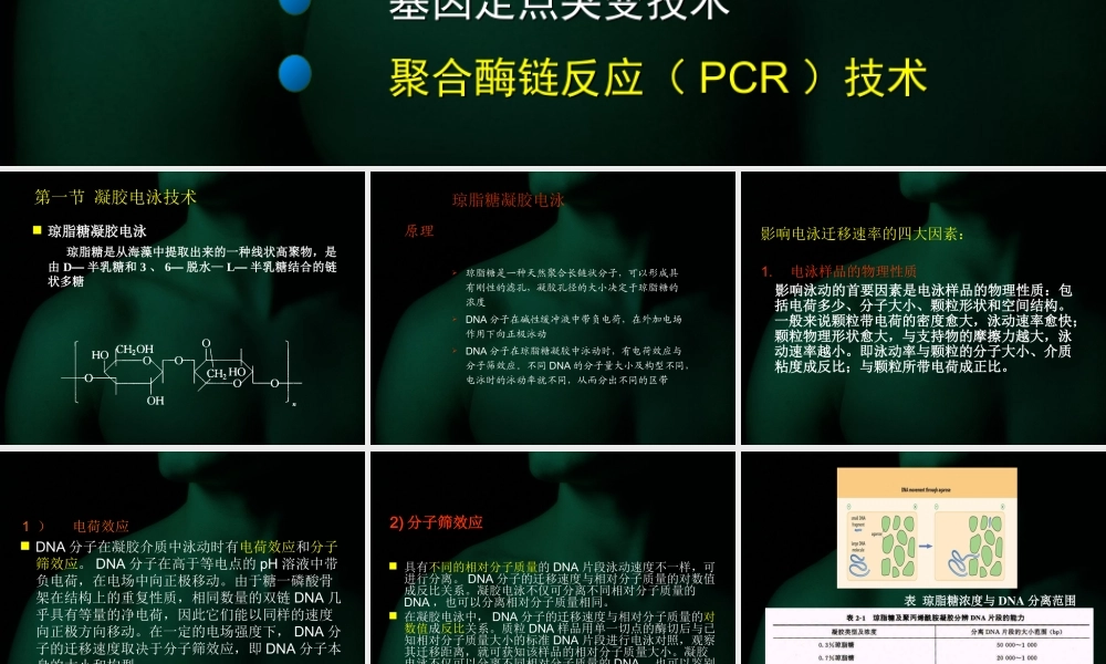 第五章章 基因工程基本技术.ppt