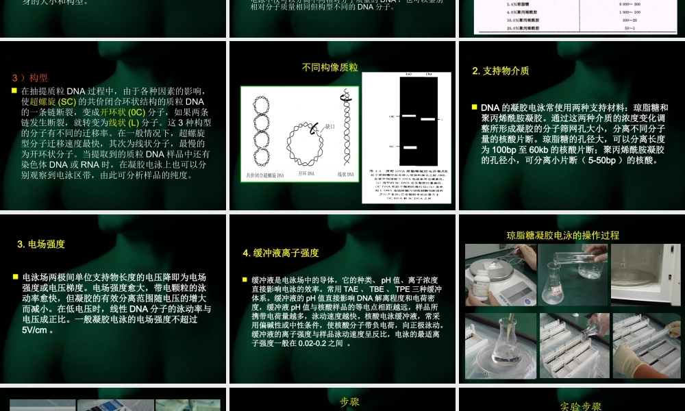 第五章章 基因工程基本技术.ppt