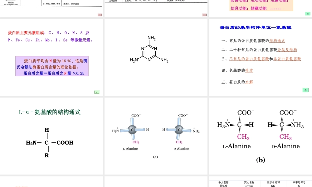 3protein(1)蛋白质.ppt