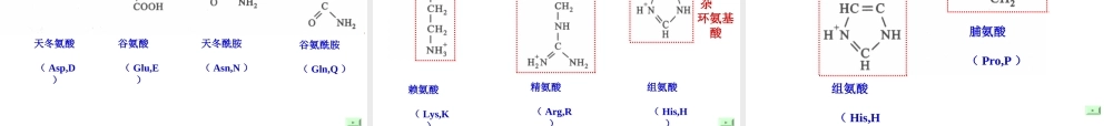 3protein(1)蛋白质.ppt