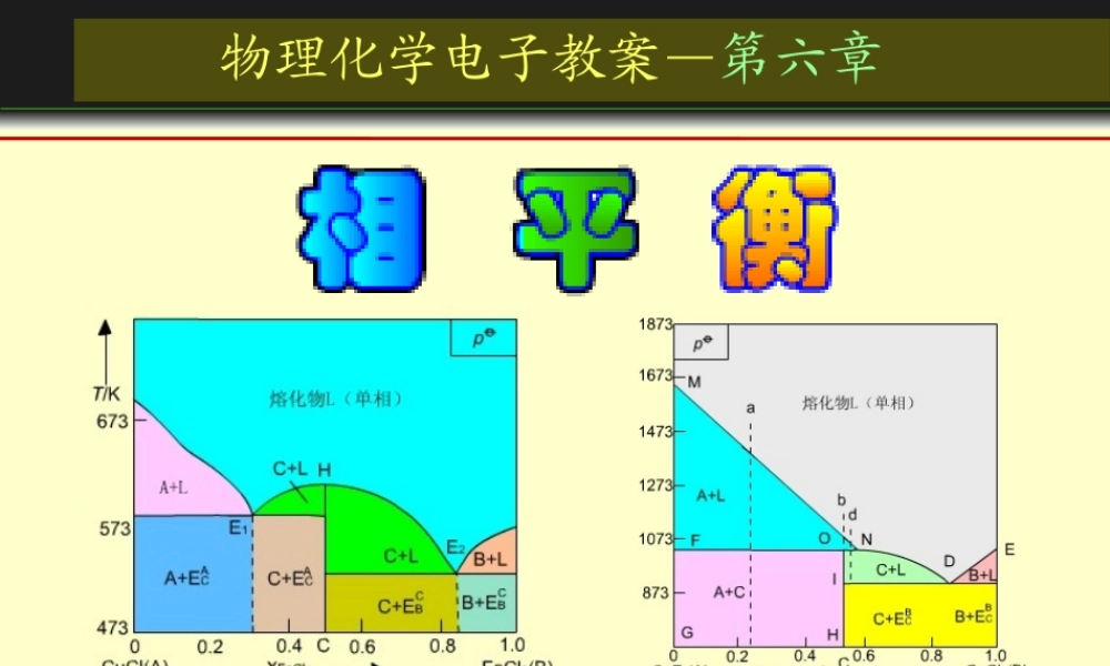 第6章 相平衡.ppt
